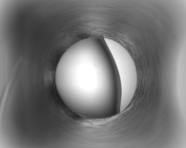 X0000089750033200706210933