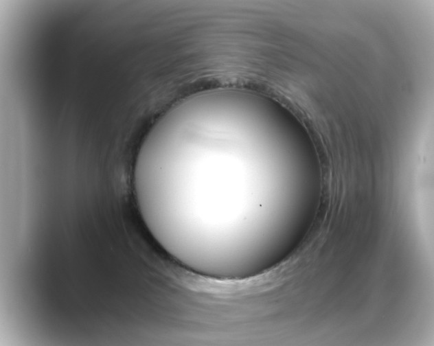 X0000089750039200706210933
