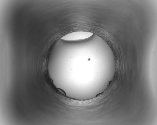 X0000089750043200706210933