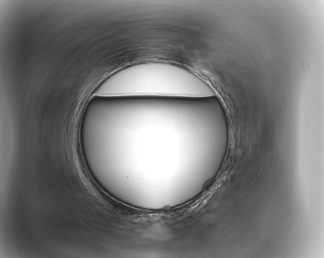 X0000089750049200706210932