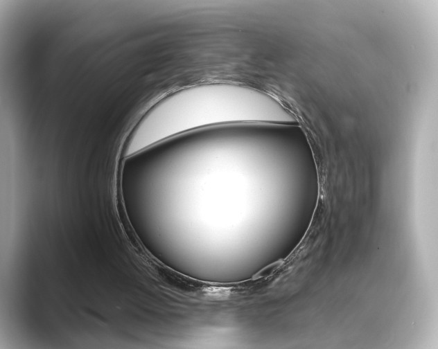 X0000089750052200706210932