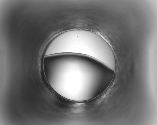 X0000089750055200706210932