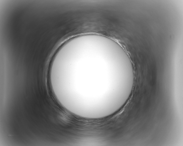 X0000089750056200706210932