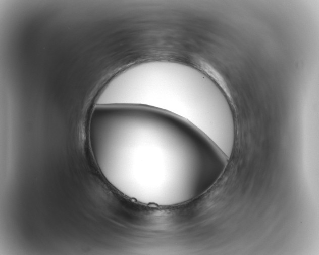 X0000089750059200706210932