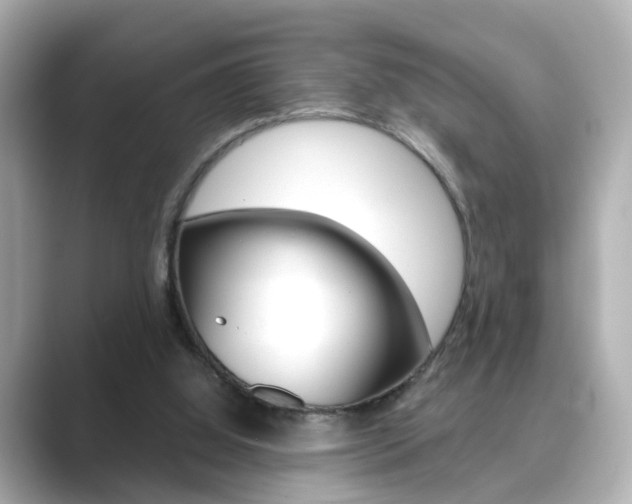 X0000089750060200706210932