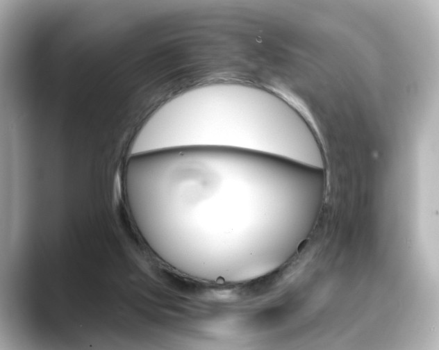 X0000089750061200706210932