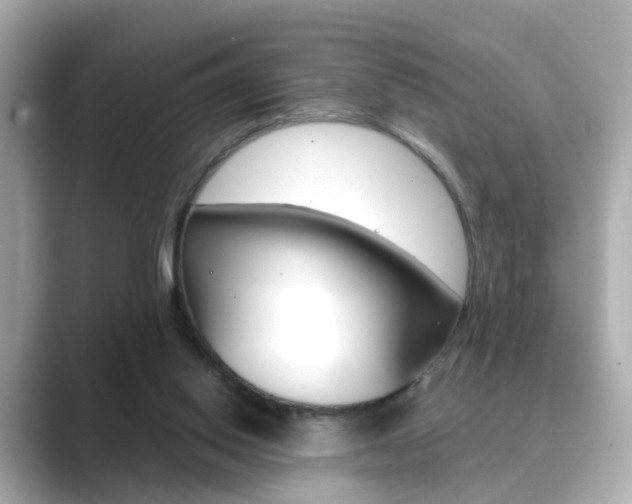 X0000089750062200706210932