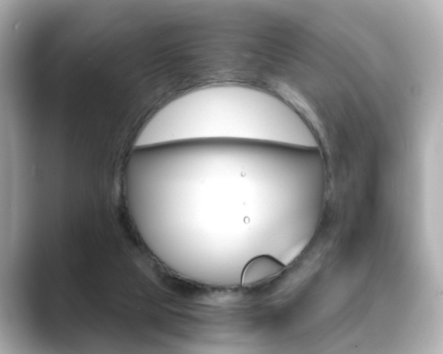 X0000089750065200706210932
