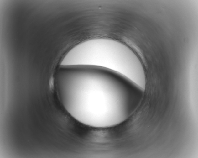 X0000089750067200706210932