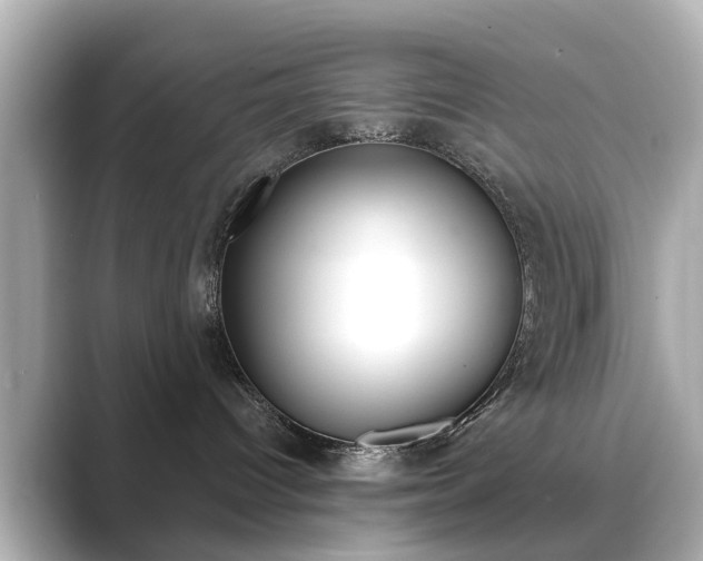 X0000089750096200706210932
