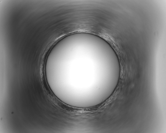 X0000089750098200706210932