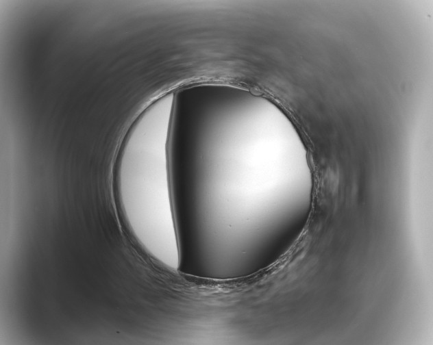 X0000089750100200706210932