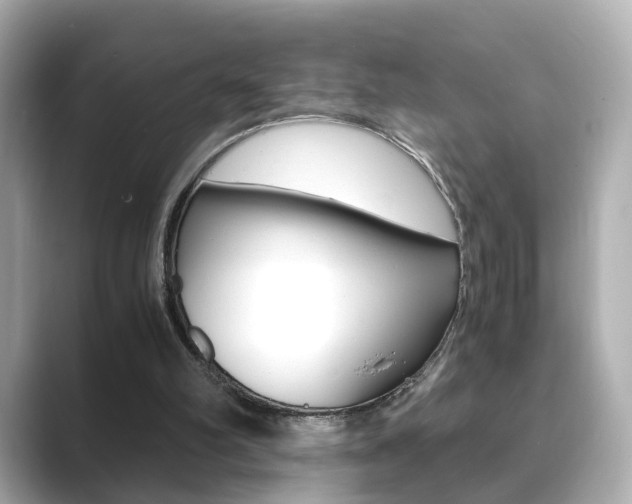 X0000089750102200706210932