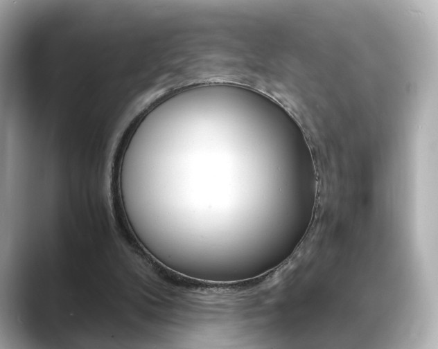 X0000089750104200706210932