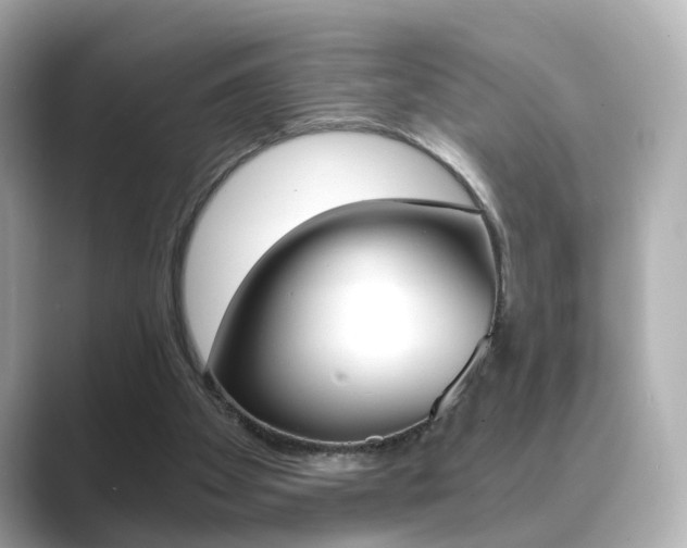 X0000089750105200706210932