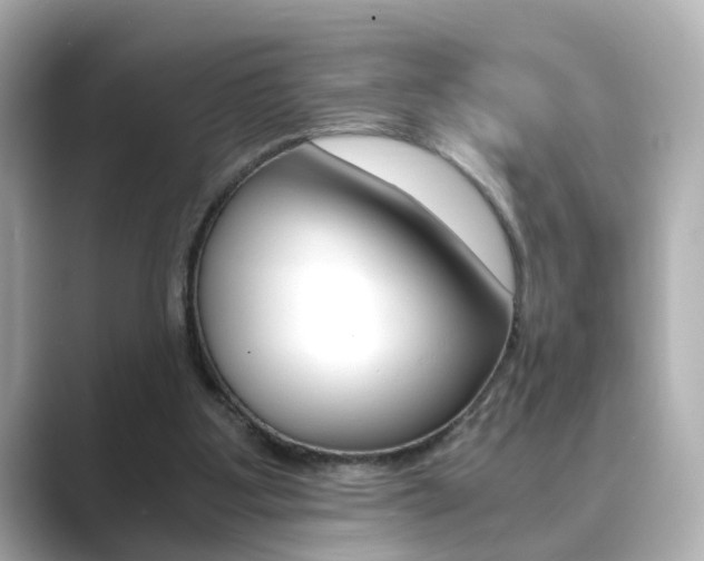 X0000089750107200706210932