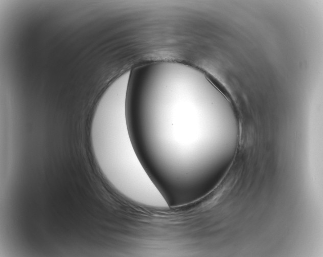 X0000089750109200706210932