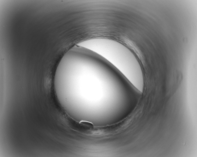X0000089750113200706210932