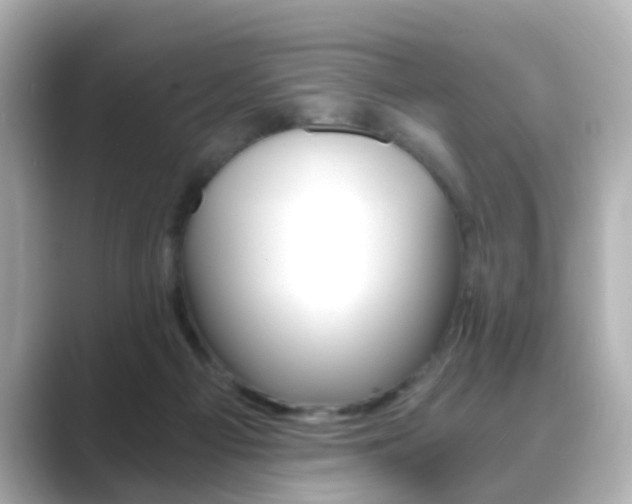 X0000089750121200706210932