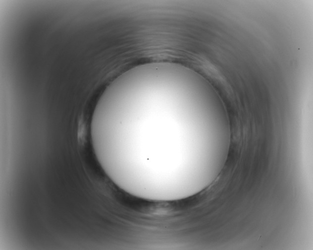 X0000089750124200706210931