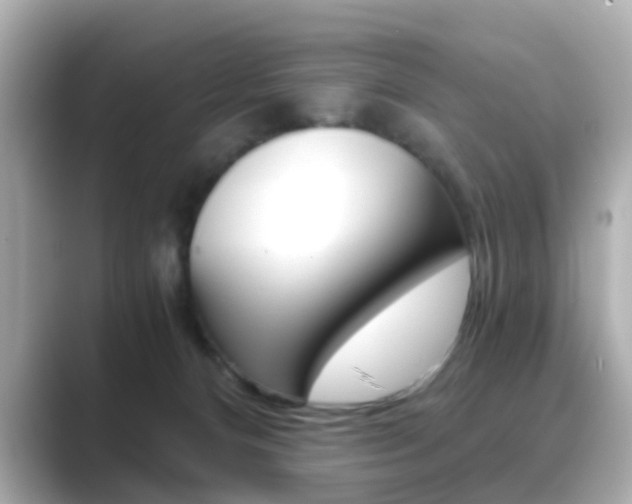 X0000089750128200706210931