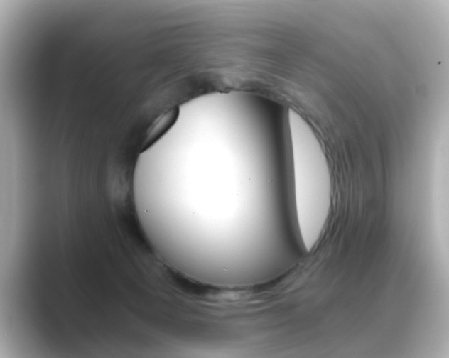 X0000089750129200706210931