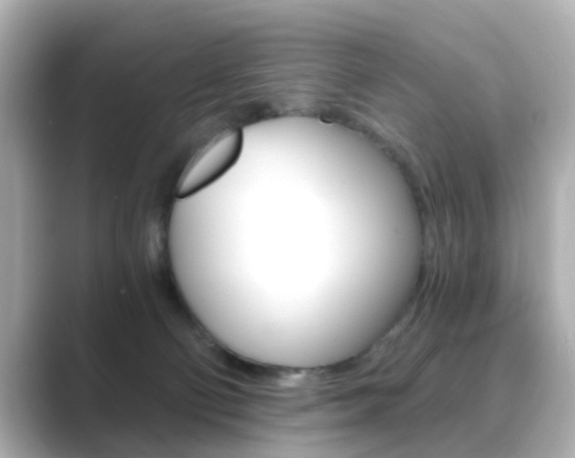 X0000089750130200706210931