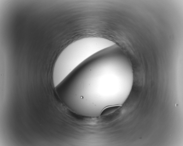 X0000089750131200706210931