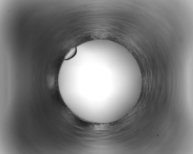 X0000089750134200706210931