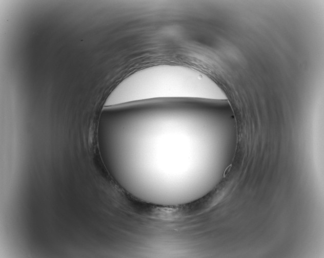 X0000089750139200706210931