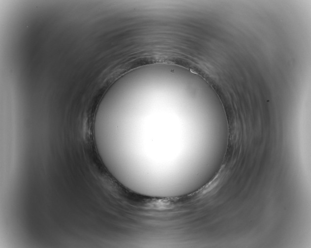 X0000089750140200706210931