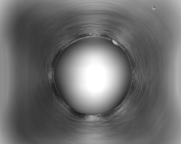 X0000089750141200706210931
