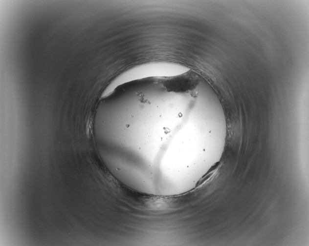 X0000089750142200706210931