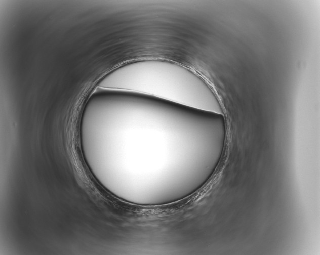 X0000089750145200706210931
