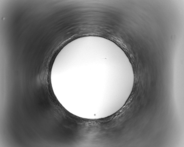 X0000089750146200706210931