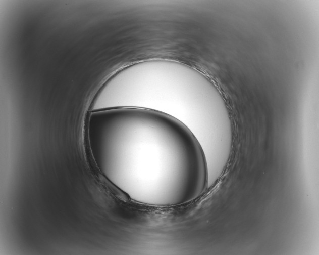 X0000089750148200706210931