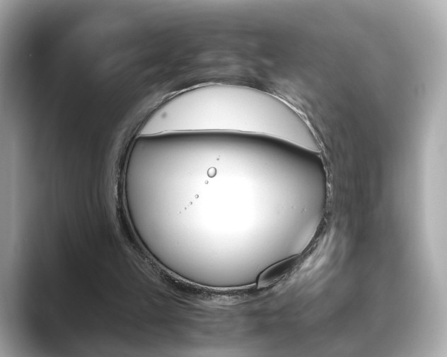X0000089750149200706210931