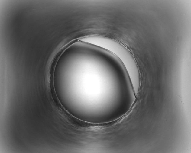 X0000089750150200706210931