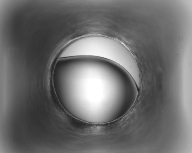 X0000089750152200706210931