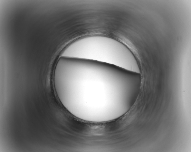 X0000089750155200706210931