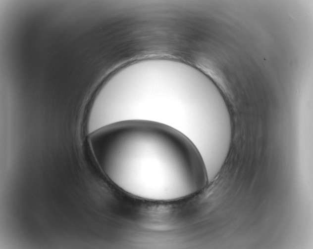 X0000089750156200706210931