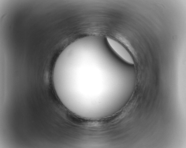 X0000089750161200706210931