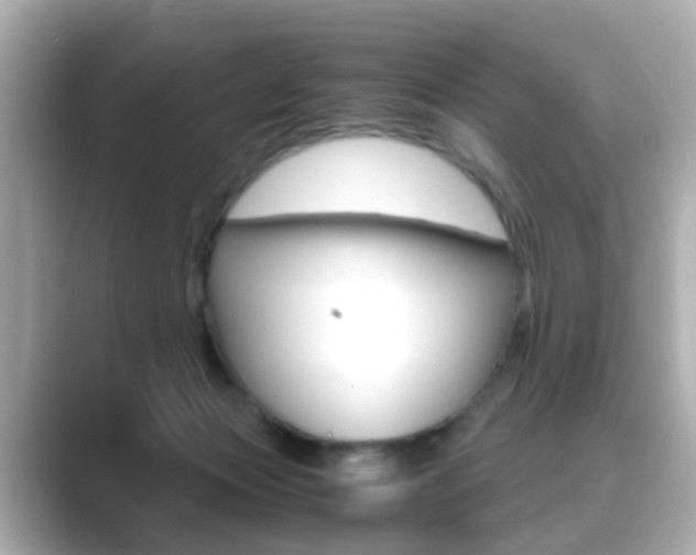 X0000089750173200706210931