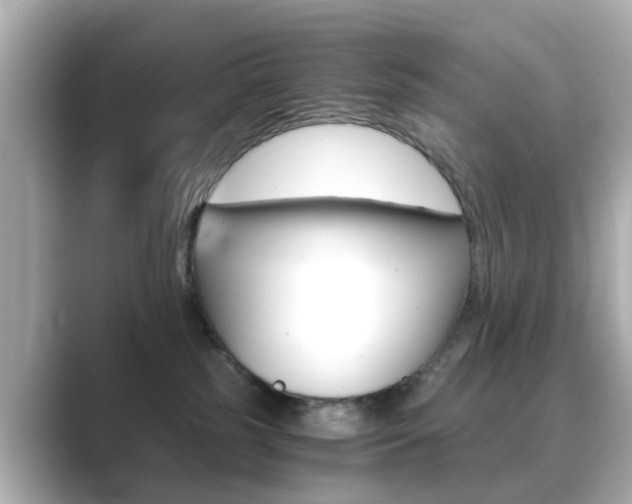 X0000089750185200706210931