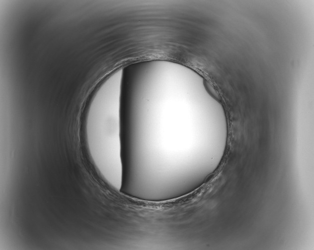 X0000089750194200706210931