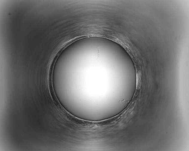 X0000089750195200706210931