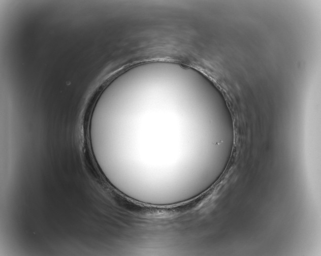 X0000089750198200706210931