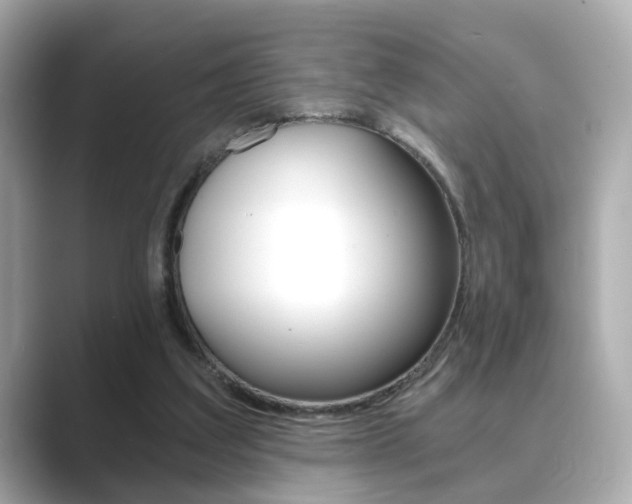 X0000089750203200706210930