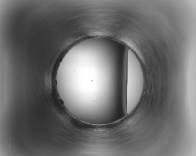 X0000089750204200706210930