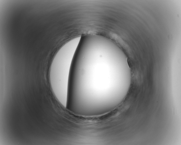 X0000089750209200706210930